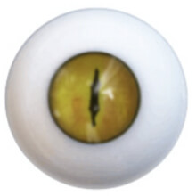 Image not available