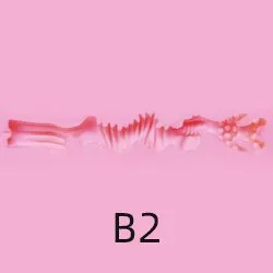 Image not available