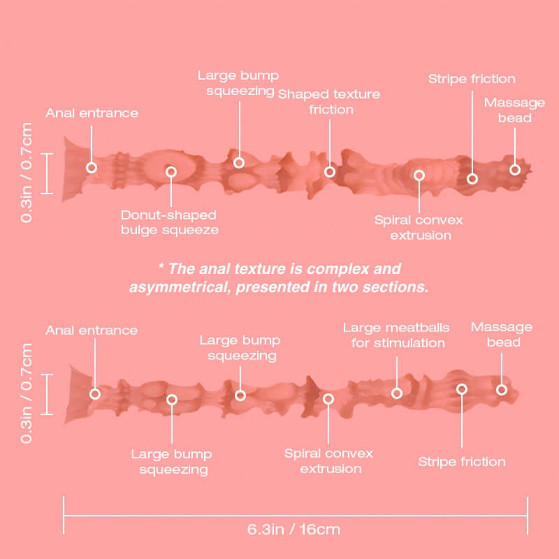 Mark Wheat Pro , Tantaly, Torso Maculino de TPE (STOCK Europa) - Imagen 35