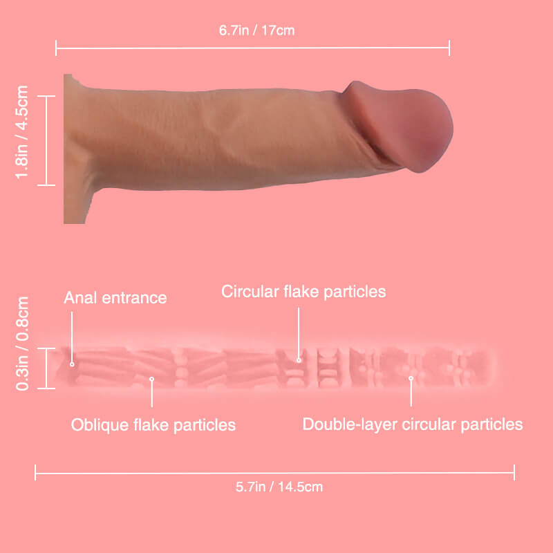 Mark Wheat, Tantaly, Torso Maculino de TPE (STOCK Europa) - Imagen 25