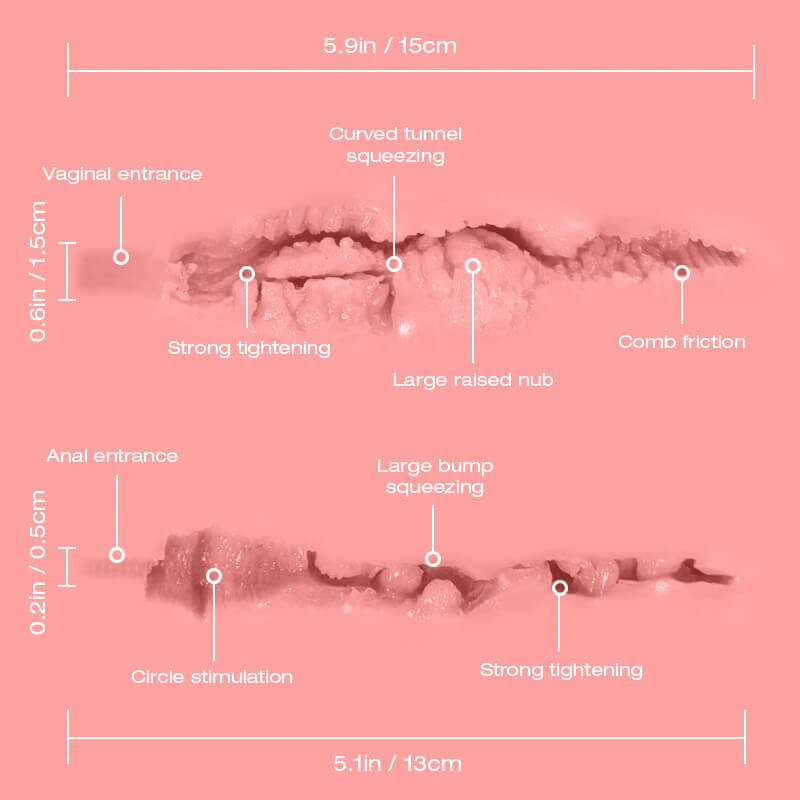 Lola, Tantaly, Torso de TPE (STOCK USA) - Imagen 29