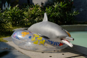 Dolphin Doll, Dolls Castle, Silicona, Delfín Sexual de Silicona